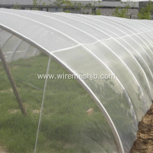 Plastic Insect Mesh For Windows and Vegetables